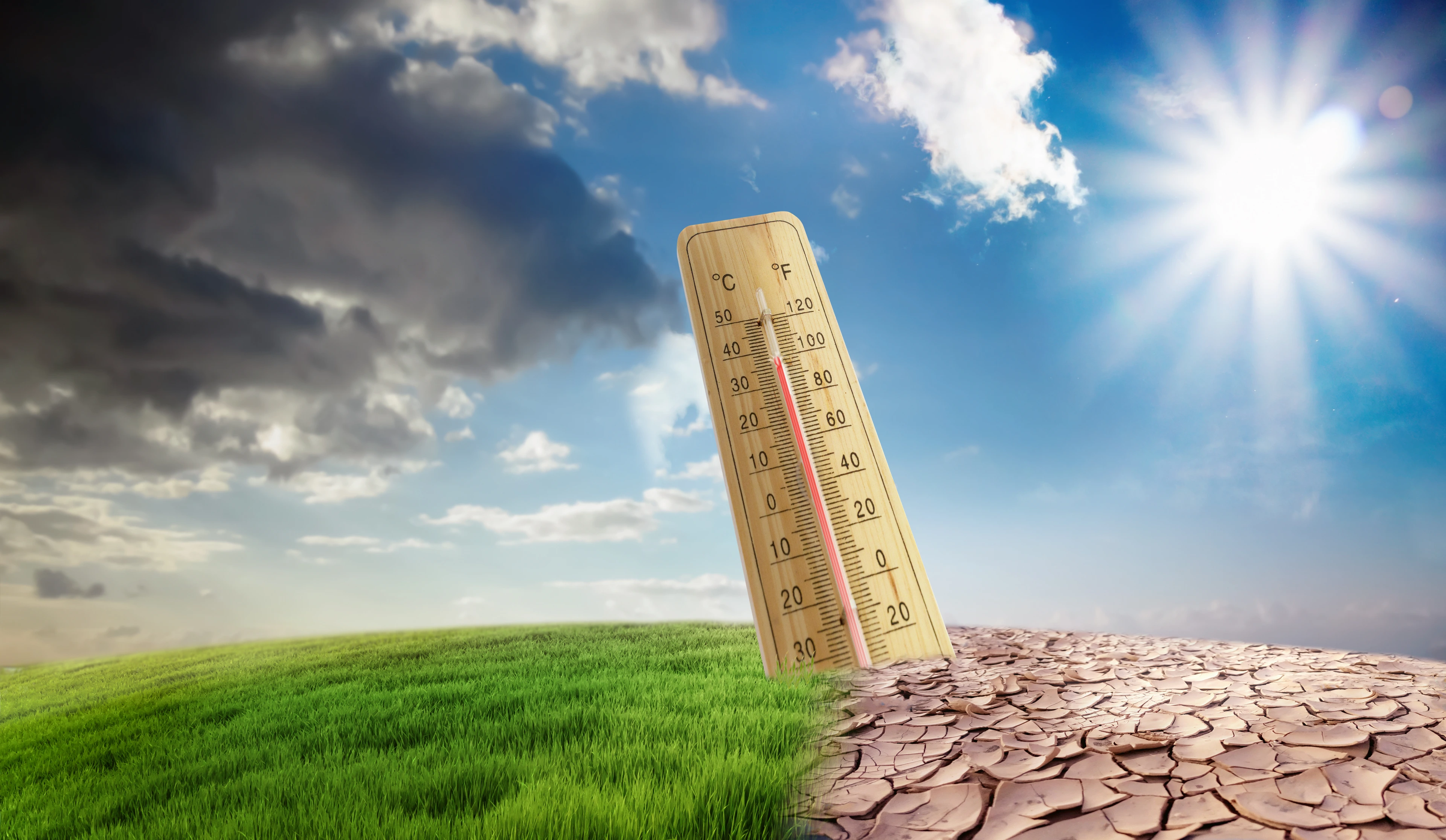 The climate is changing, followed by drought, crop failures and poverty.