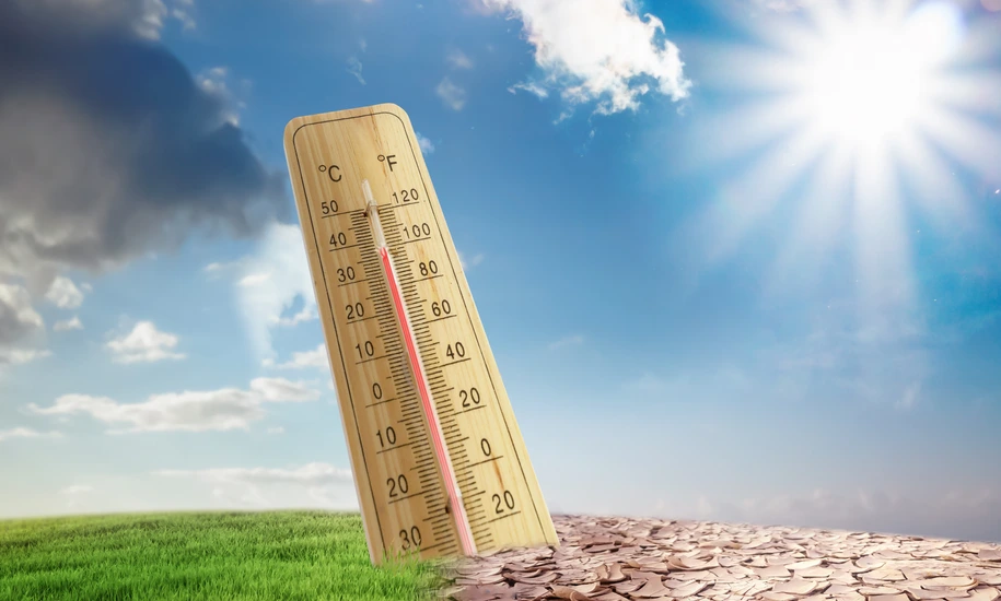 The climate is changing, followed by drought, crop failures and poverty.