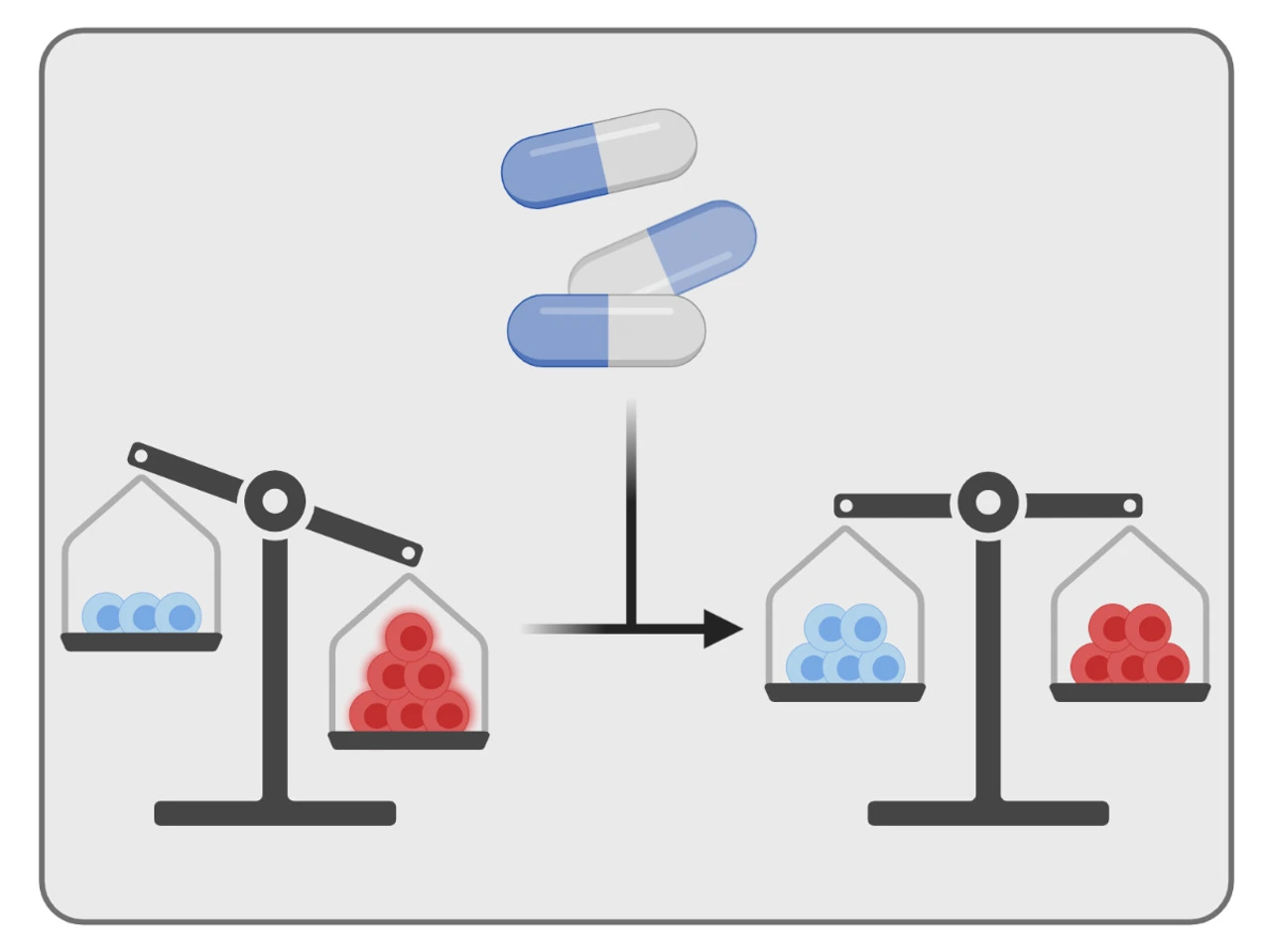 Novel drug candidates to control T1D autoimmunity