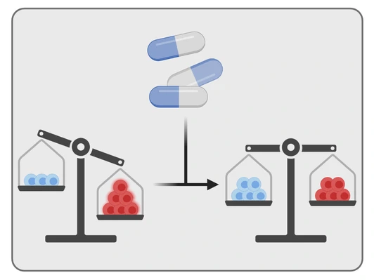 Novel drug candidates to control T1D autoimmunity