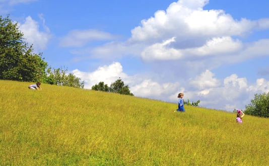 Kids Nature