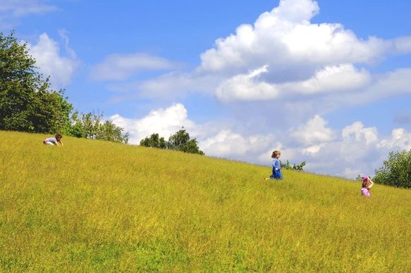 Kids Nature
