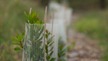 Notre démarche en faveur de la biodiversité