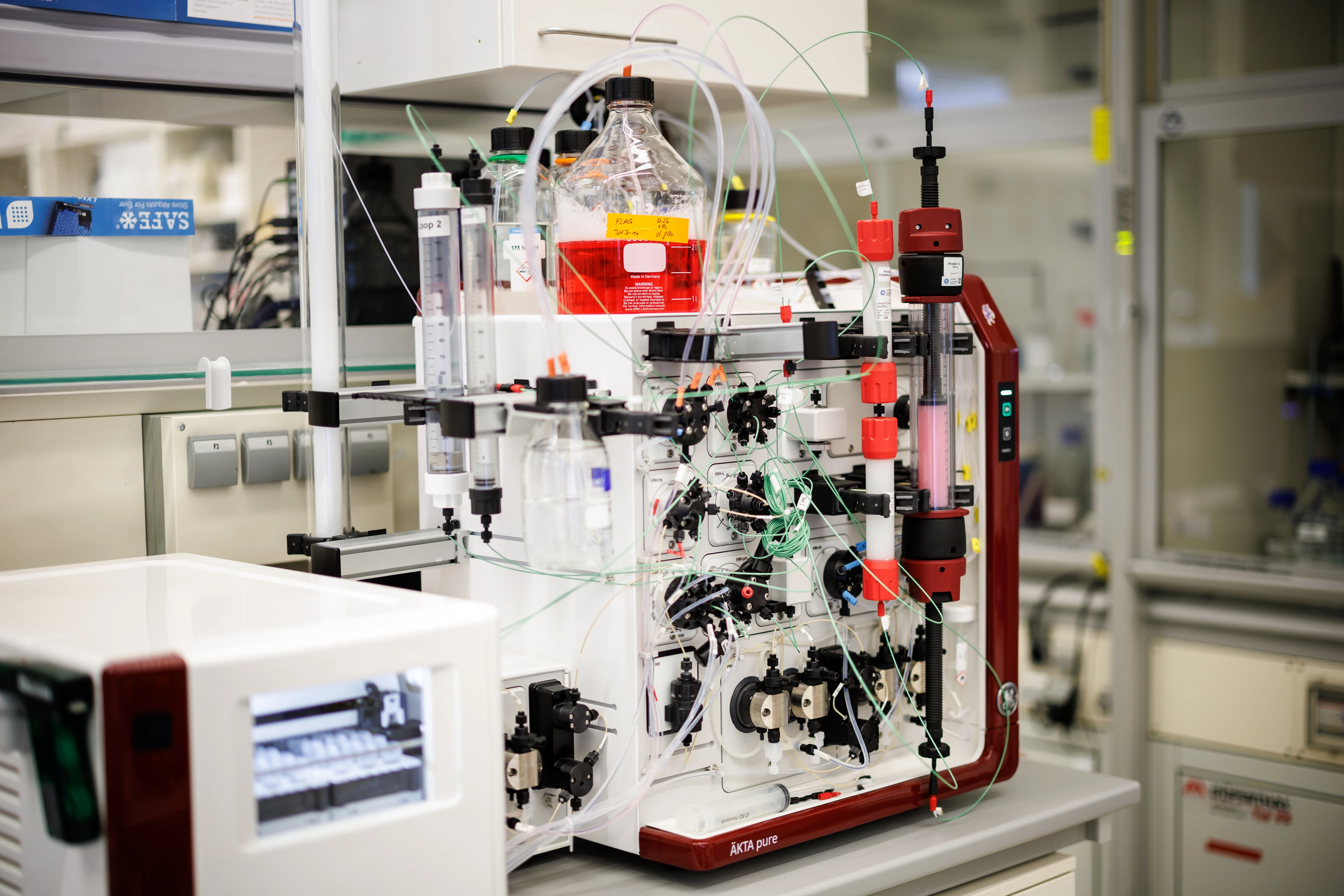 Antibody purification