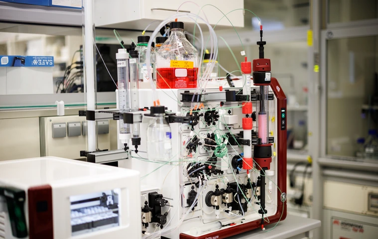 Antibody purification