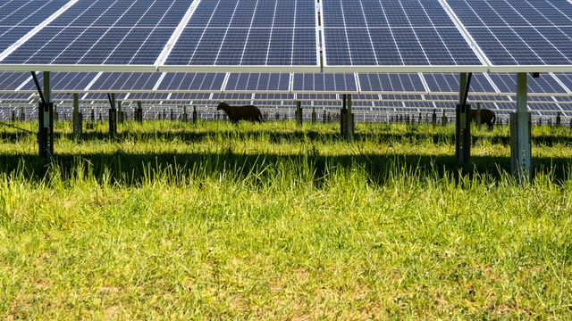 Garein devient actionnaire d'un projet solaire