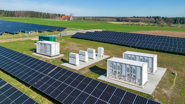 Desiree Mirabella wird Chefin der BayWa r.e. Energiehandelssparte