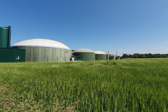 Bedarfsorientierte Vermarktung