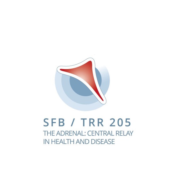 SFB/TRR 205: “The Adrenal: Central Relay in Health and Disease”
