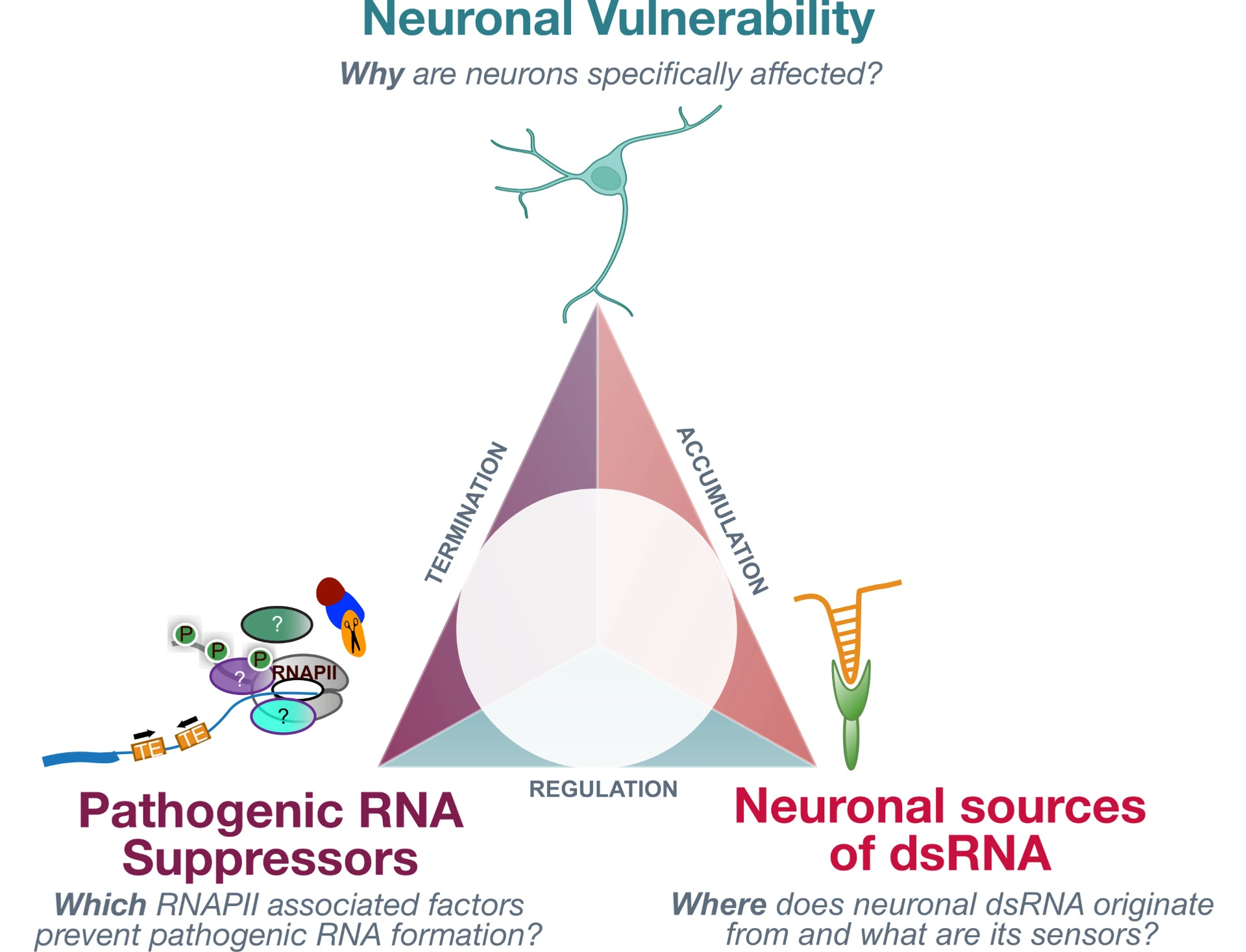 Research Image 2 Apoorva
