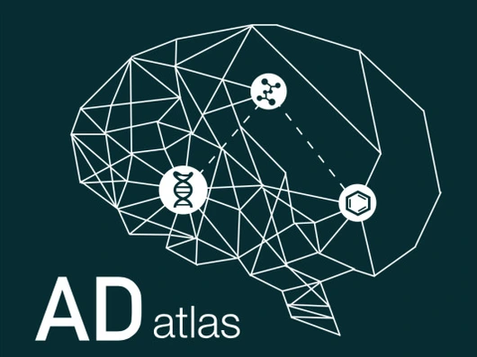 SysMet_Project_ADAtlas_535x401_ICB
