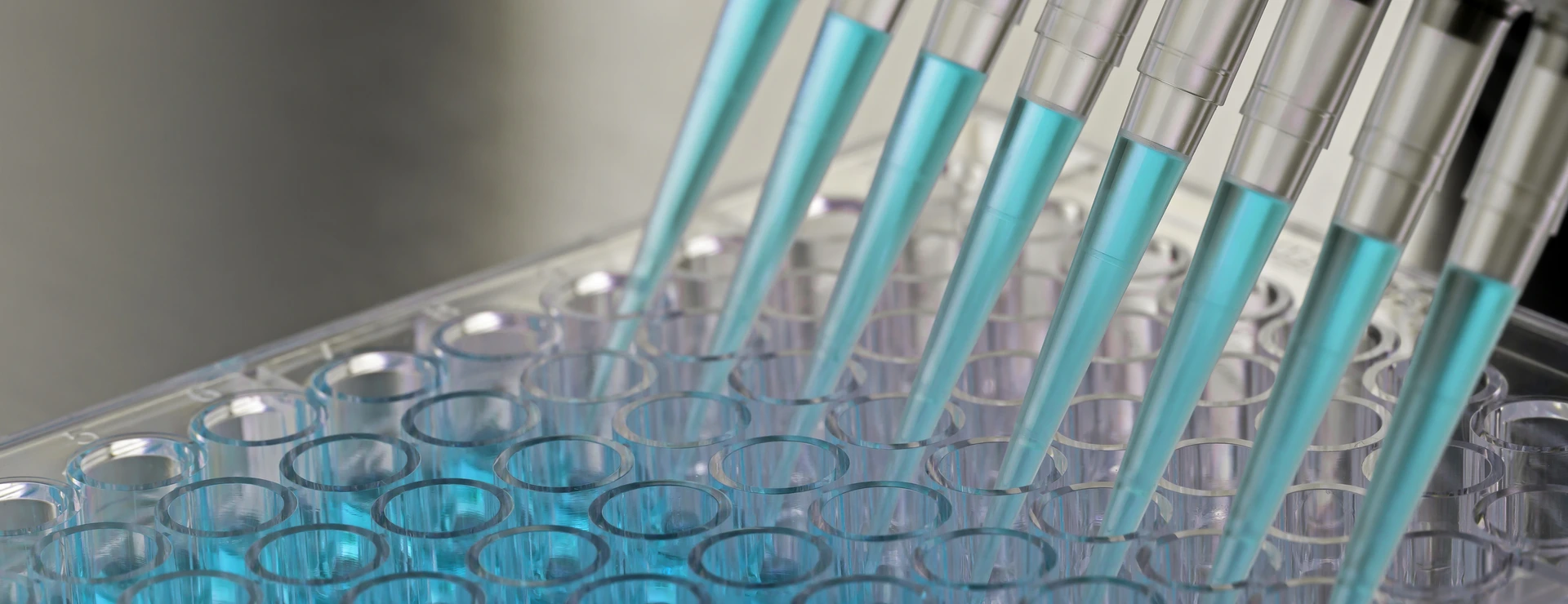 Adding samples inside a biosafety cabinet