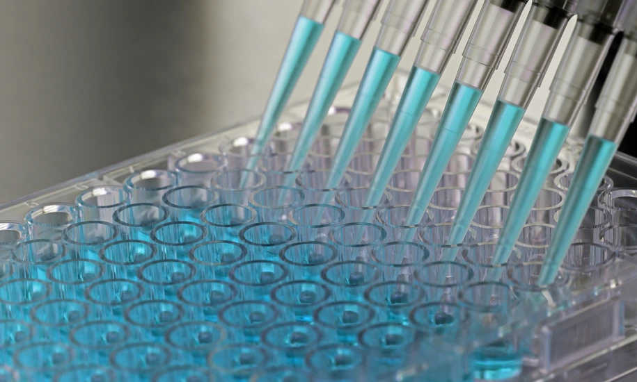 Adding samples inside a biosafety cabinet