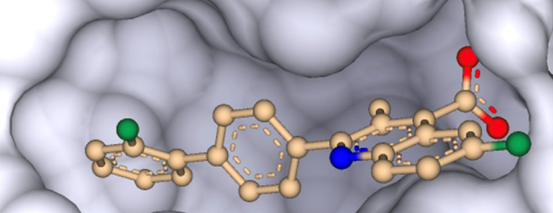 DHODH inhibitor brequinar
