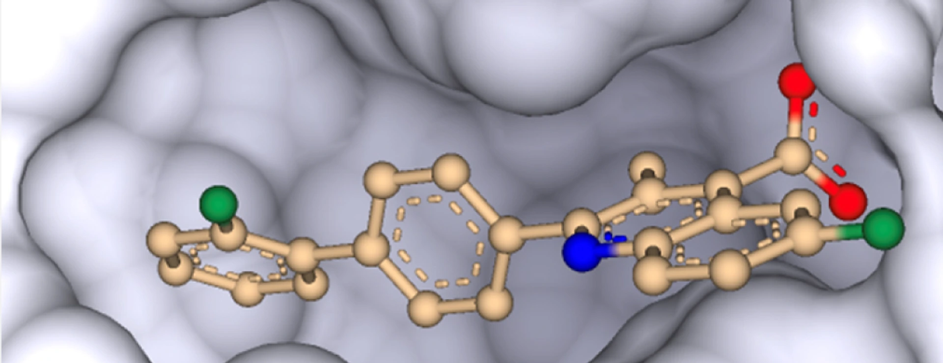 DHODH inhibitor brequinar