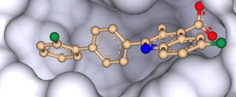 DHODH inhibitor brequinar