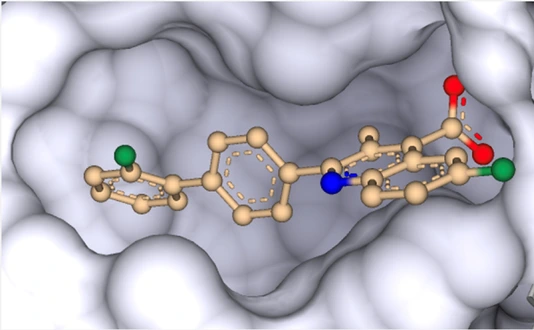 DHODH inhibitor brequinar