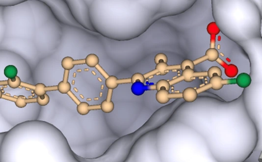 DHODH inhibitor brequinar