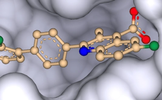 DHODH inhibitor brequinar