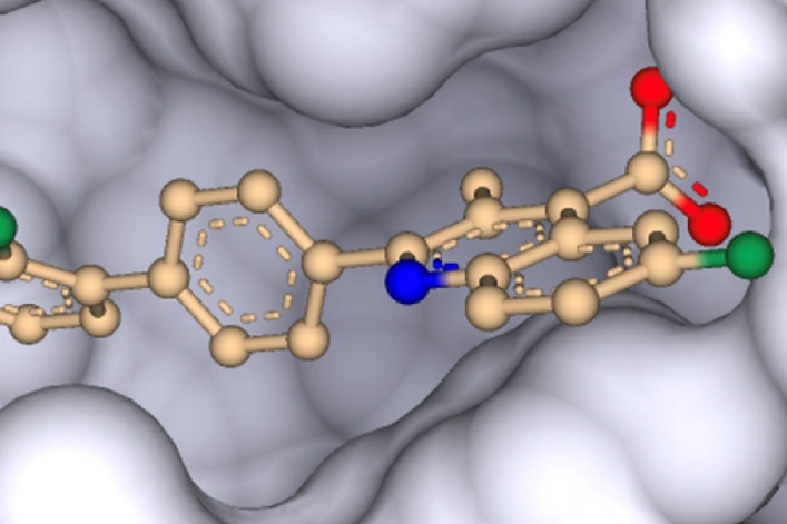 DHODH inhibitor brequinar