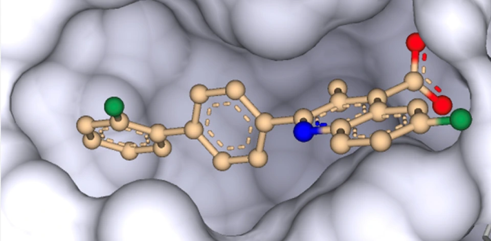 DHODH inhibitor brequinar