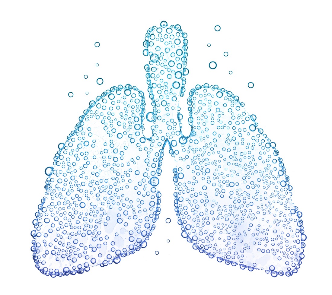 lungs with oxygen bubbles Isolated on white background