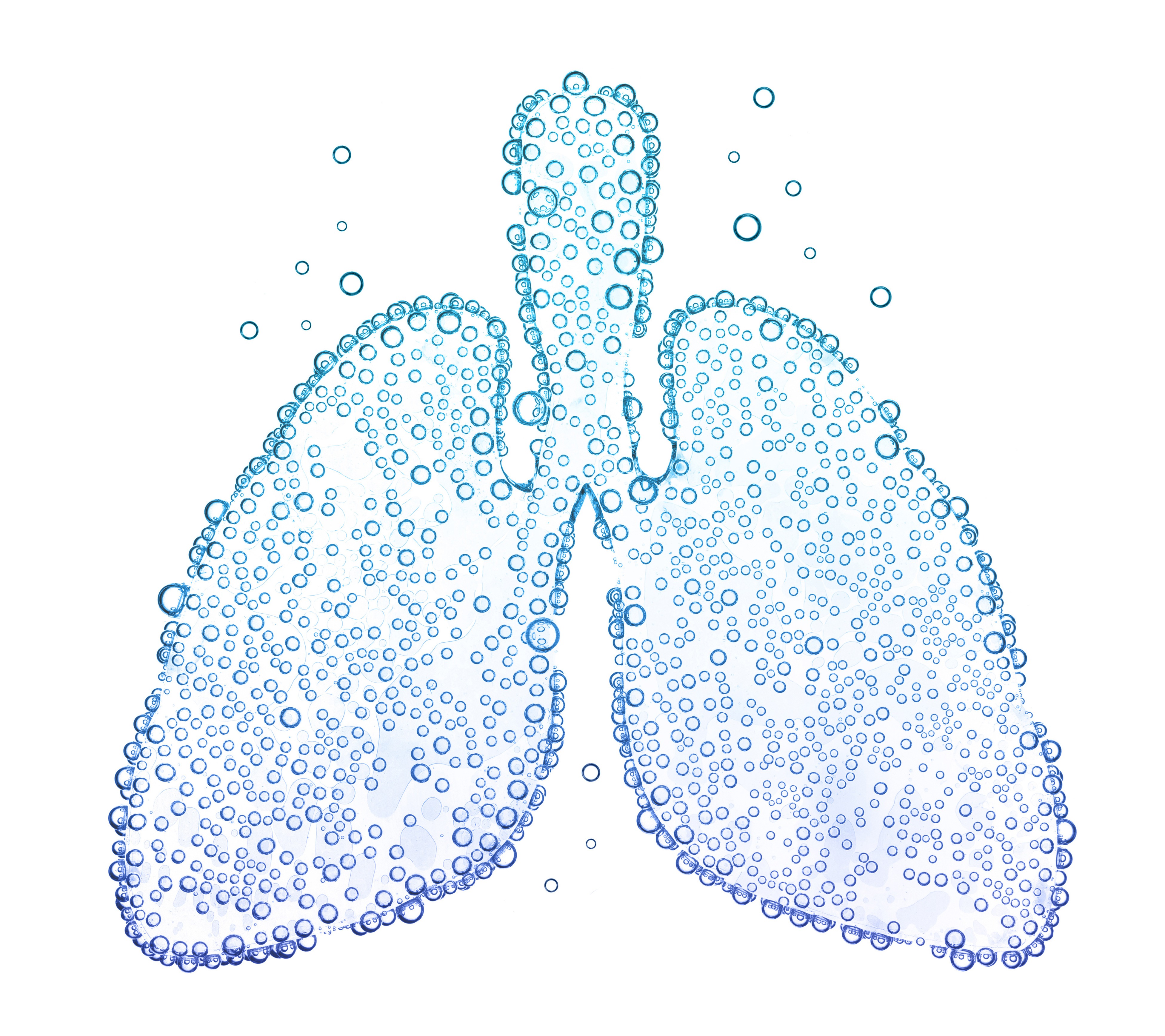 lungs with oxygen bubbles Isolated on white background