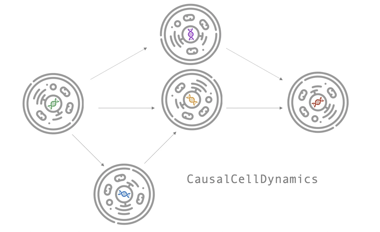 Logo CausalCellDynamics