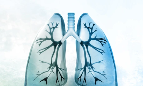 Human lungs