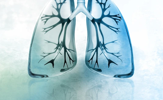 Human lungs