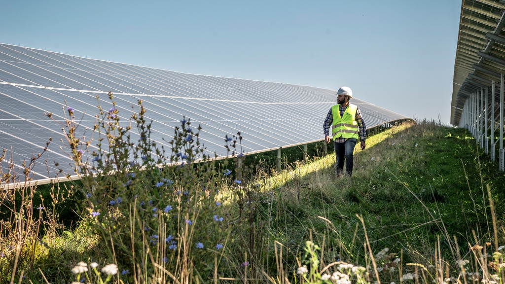 Solar park Stockbronner Hof 06