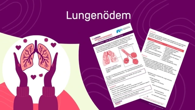 Vorschaubild Factsheet Lungenödem