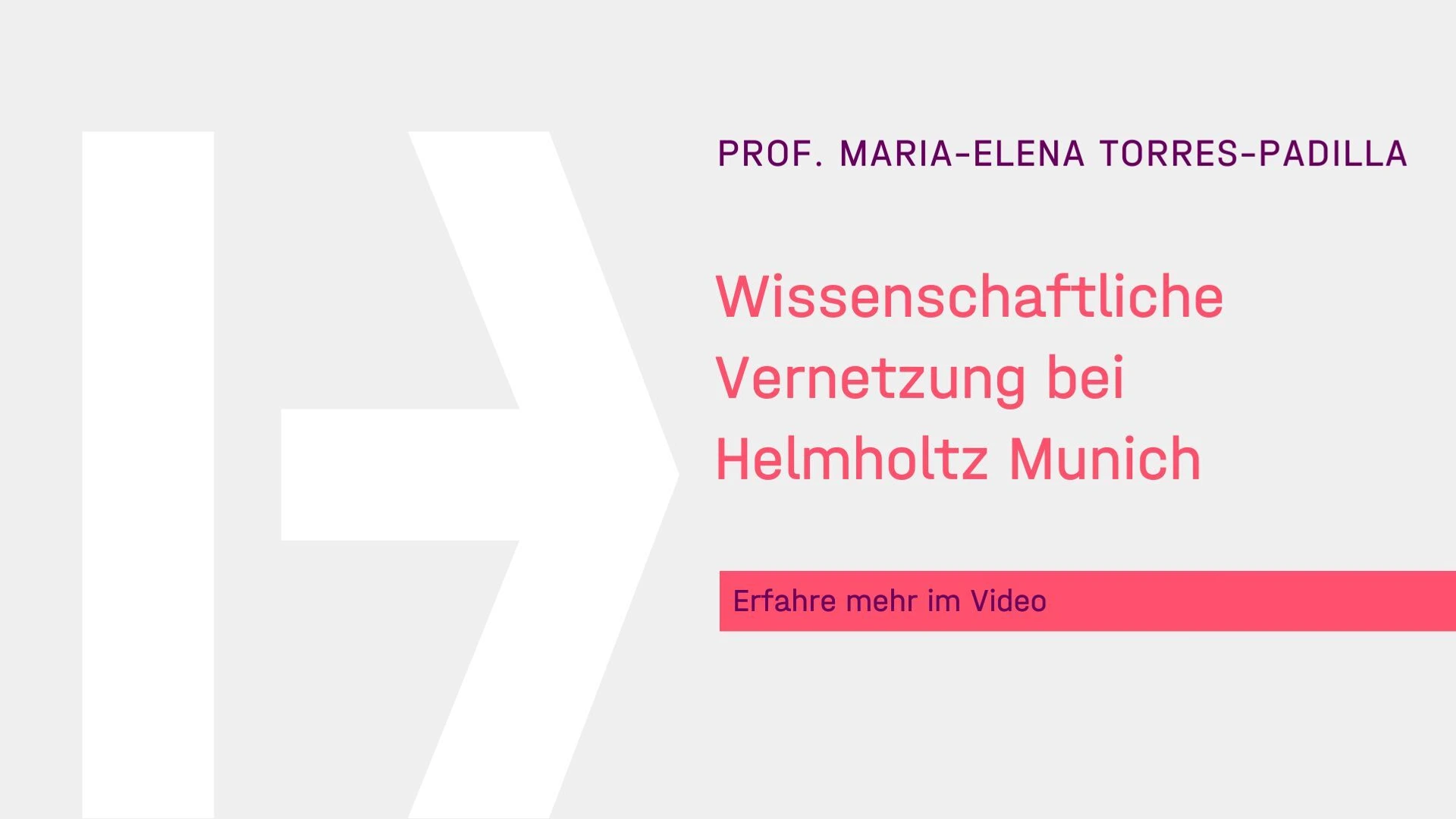 Vernetzung ohne Foto Torres-Padilla DE