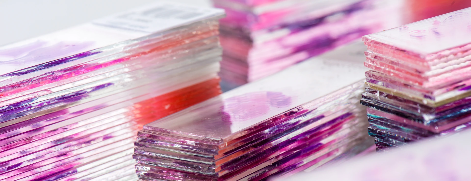 Slides with stained tissue sections