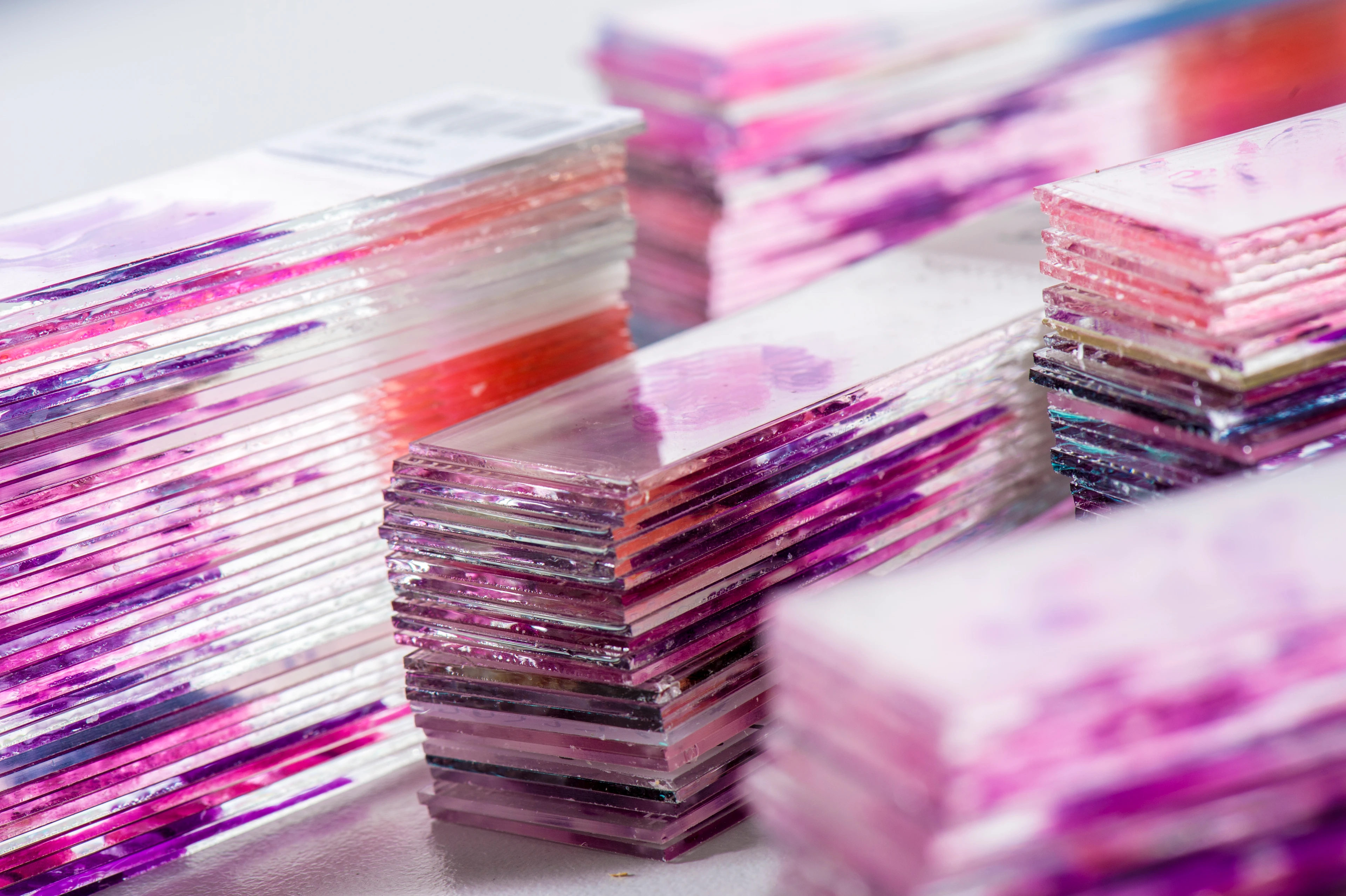 Slides with stained tissue sections