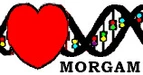 Logo Morgam - MOnica Risk, Genetics, Archiving and Monograph