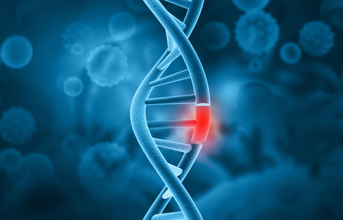 DNA - Epigenetik und Allergie