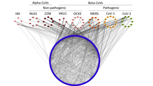 pan_virus_host_interactomics