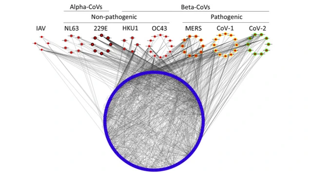 pan_virus_host_interactomics