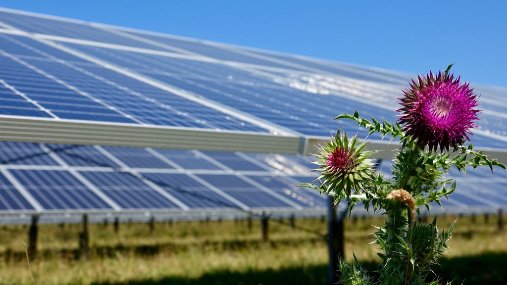 Solar park Stockbronner Hof 09