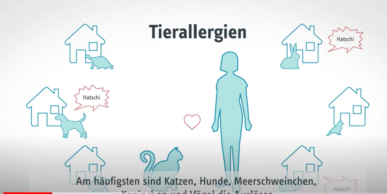 Tierhaarallergie