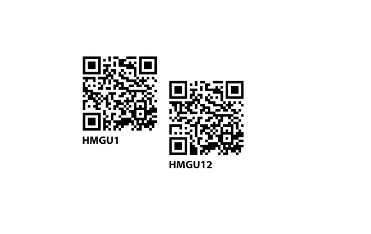 HMGU1 and 12 barcodes