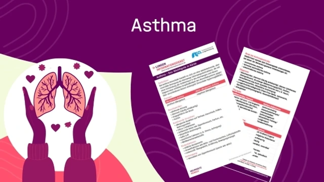 Vorschaubild Factsheet Asthma