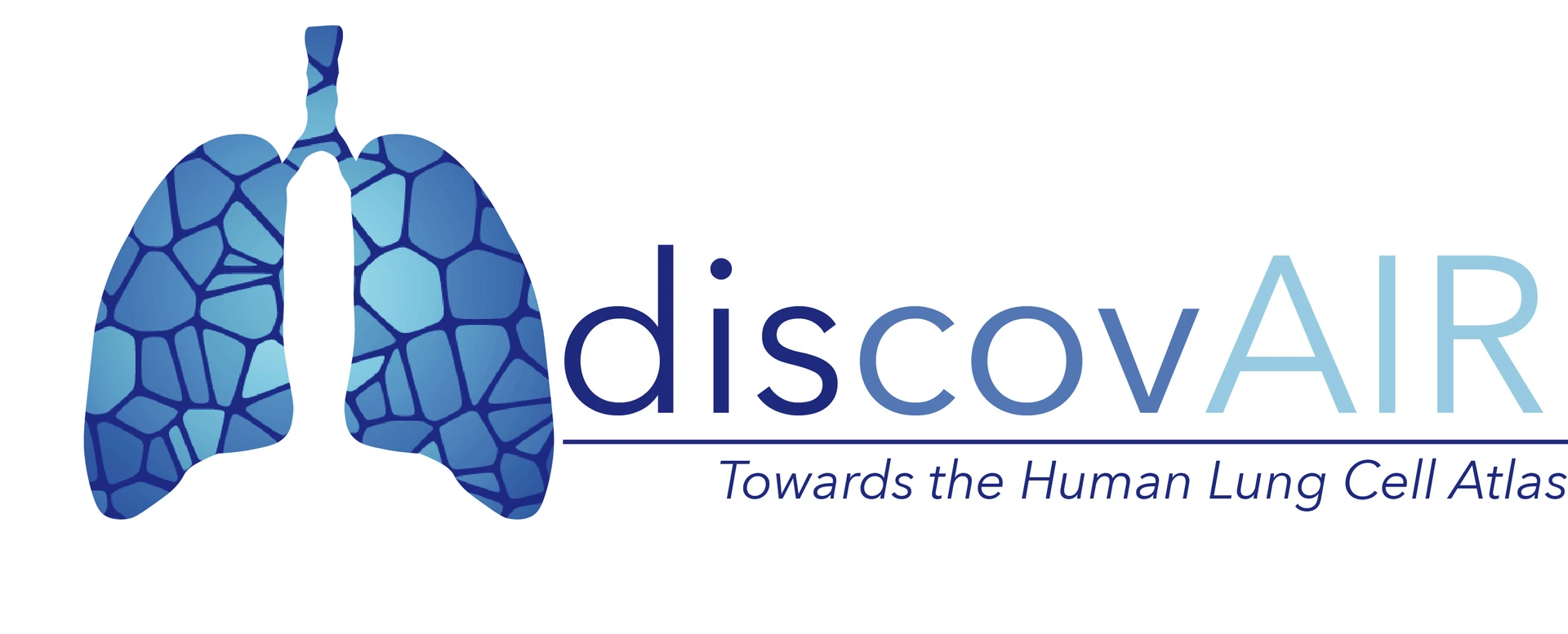 Discovair logo