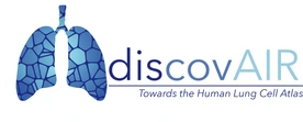 Discovair logo