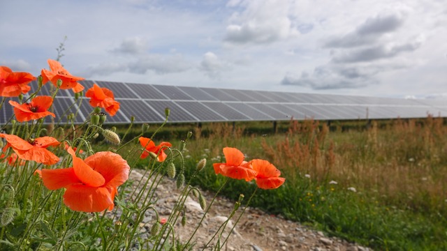 BayWa r.e. successful at recent UK CfD Allocation Round 4