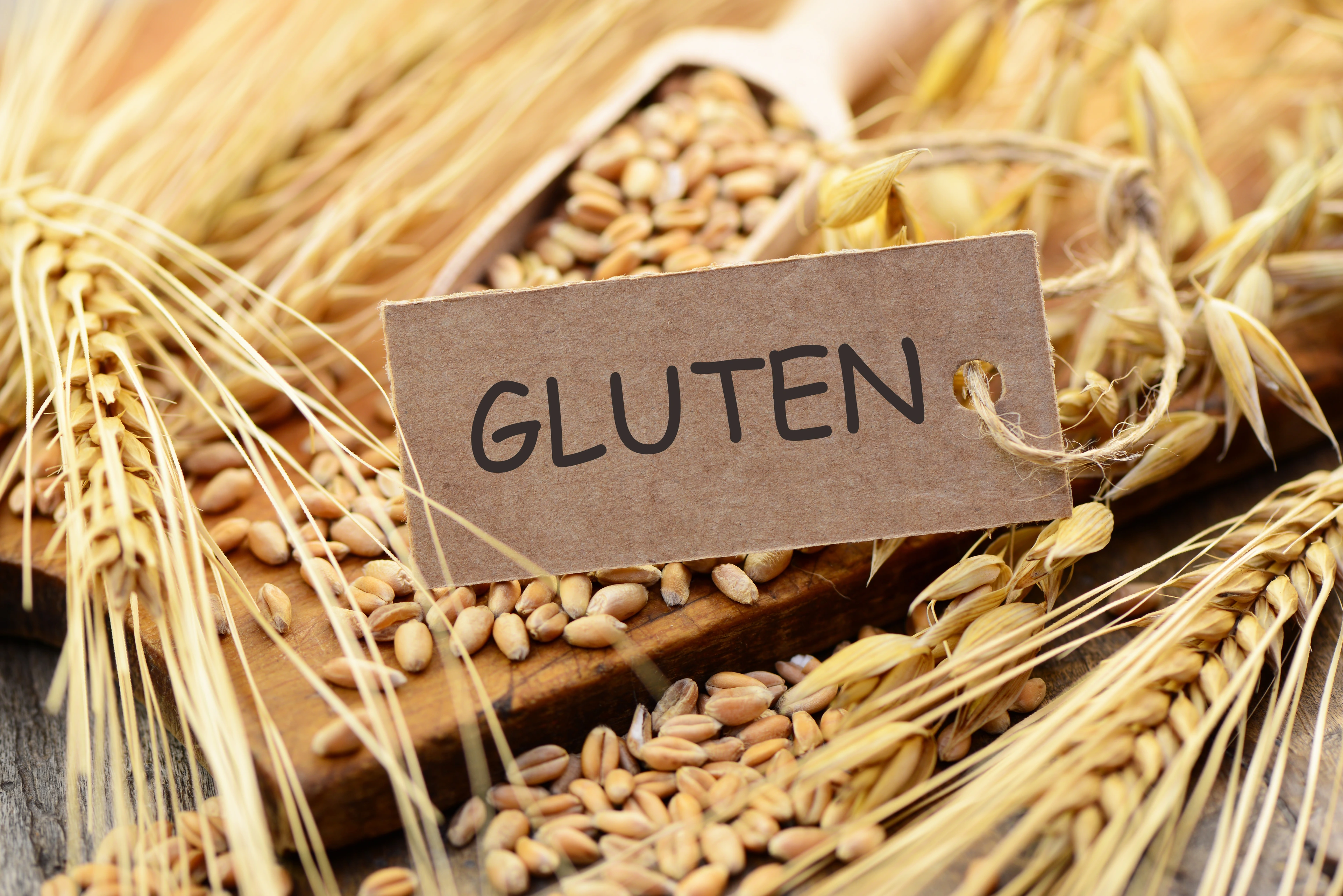 Gluten und Weizen können Symptome von Reizdarm verstärken
