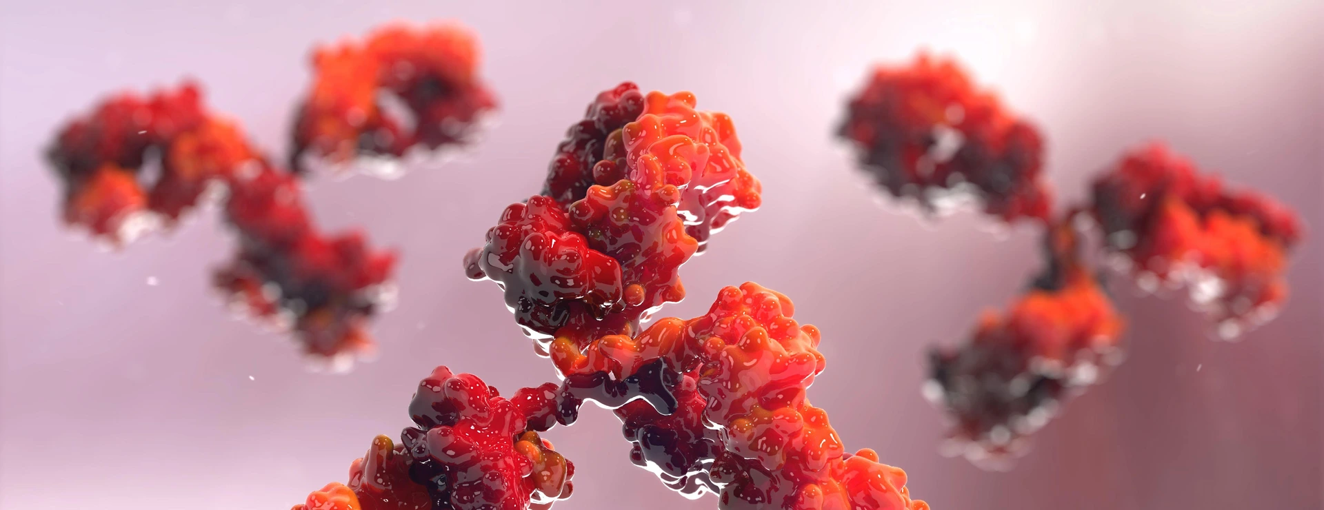 antibodies to cell movement of the virus