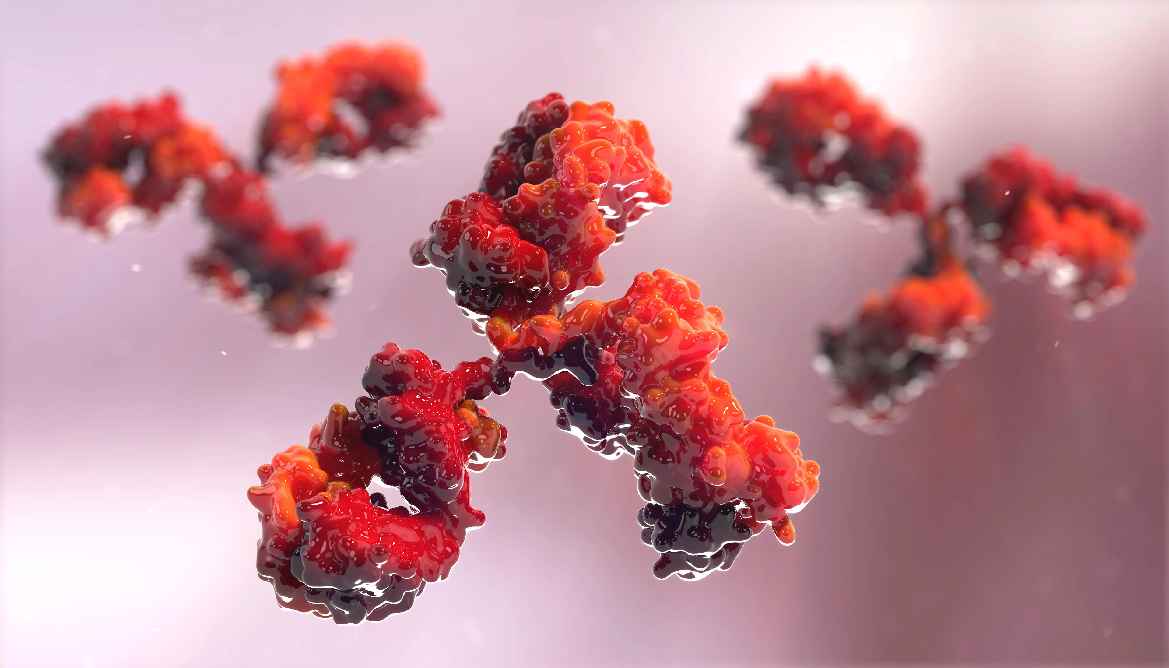 antibodies to cell movement of the virus
