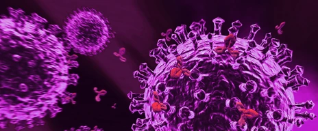 Immunsystem